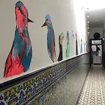 Hostel Lua Lua Palmas (adults Only)